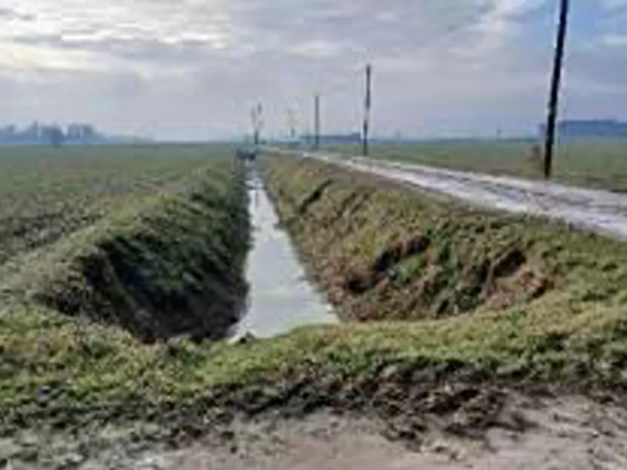 Immagine 4 di Terreno in vendita  in Località Ronchi a Povegliano Veronese