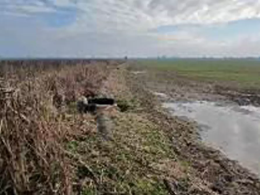 Immagine 5 di Terreno in vendita  in Località Ronchi a Povegliano Veronese