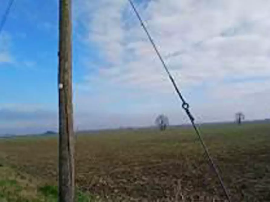 Immagine 6 di Terreno in vendita  in Località Ronchi a Povegliano Veronese