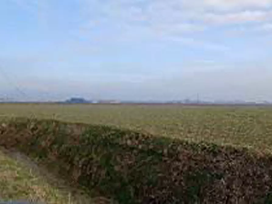 Immagine 7 di Terreno in vendita  in Località Ronchi a Povegliano Veronese