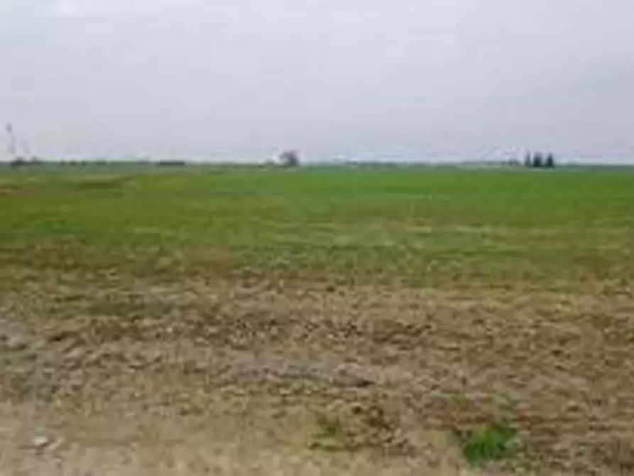 Immagine 8 di Terreno in vendita  in Località Ronchi a Povegliano Veronese