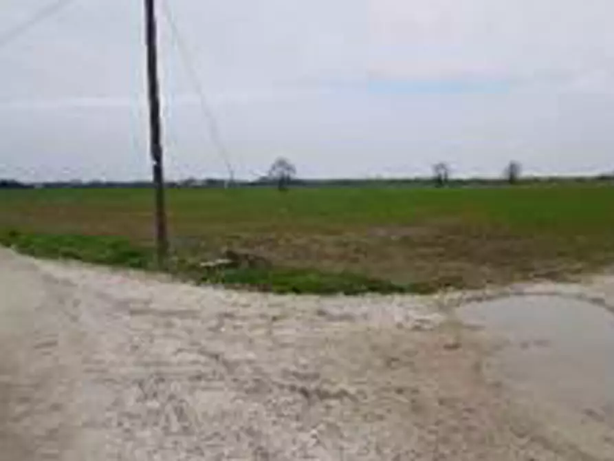 Immagine 9 di Terreno in vendita  in Località Ronchi a Povegliano Veronese