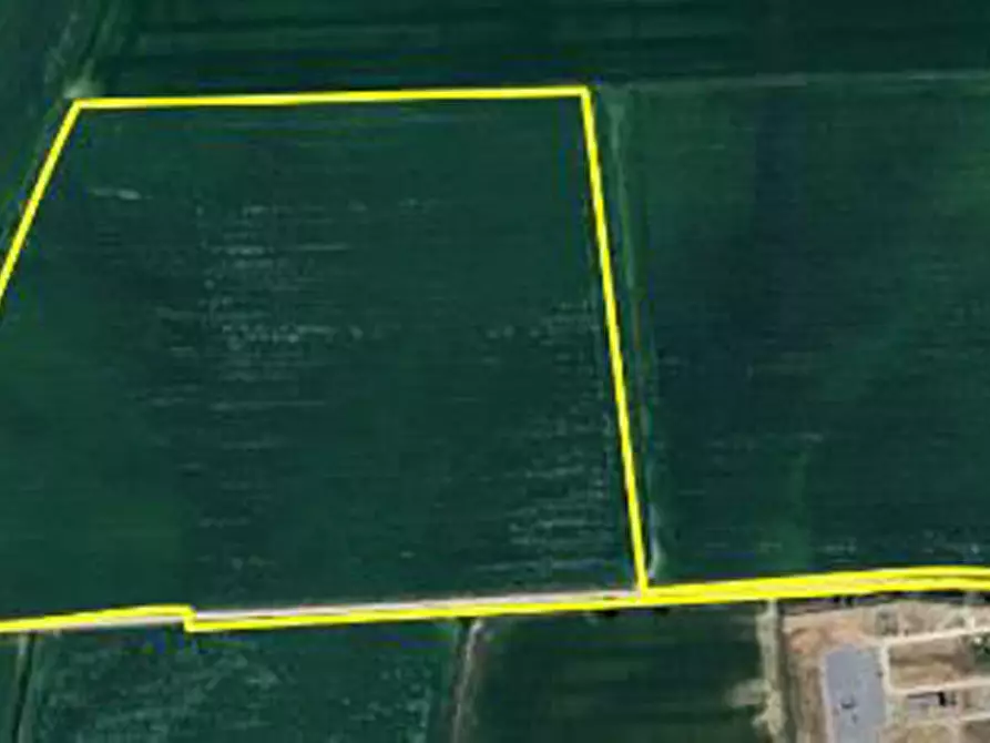 Immagine 1 di Terreno in vendita  in Località Ronchi a Povegliano Veronese