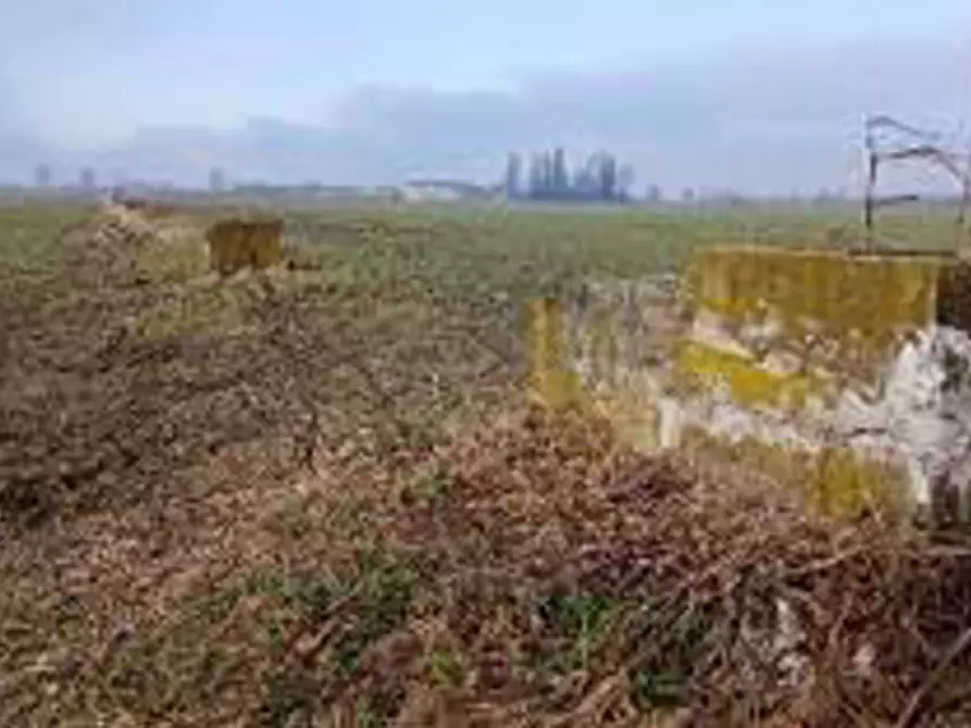 Immagine 3 di Terreno in vendita  in Località Ronchi a Povegliano Veronese
