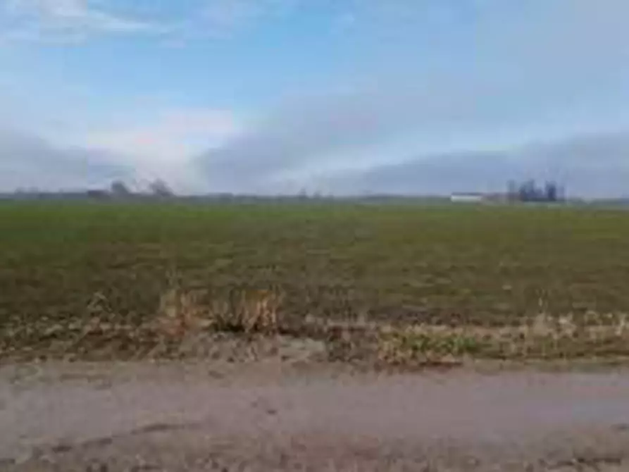 Immagine 4 di Terreno in vendita  in Località Ronchi a Povegliano Veronese