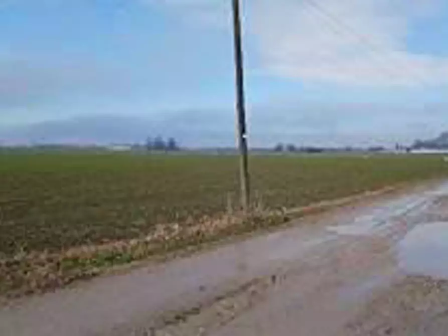 Immagine 5 di Terreno in vendita  in Località Ronchi a Povegliano Veronese