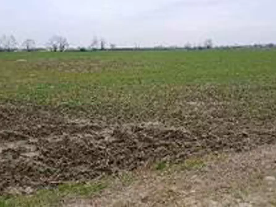 Immagine 6 di Terreno in vendita  in Località Ronchi a Povegliano Veronese