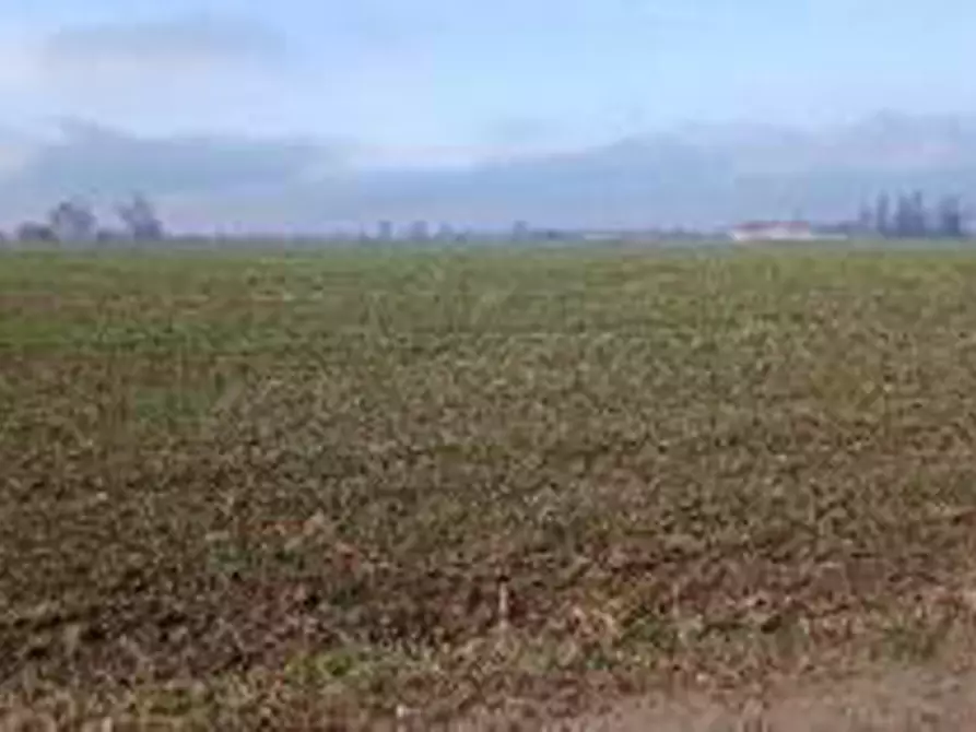 Immagine 7 di Terreno in vendita  in Località Ronchi a Povegliano Veronese