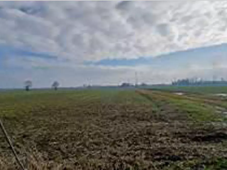 Immagine 3 di Terreno in vendita  in Località Ronchi a Povegliano Veronese