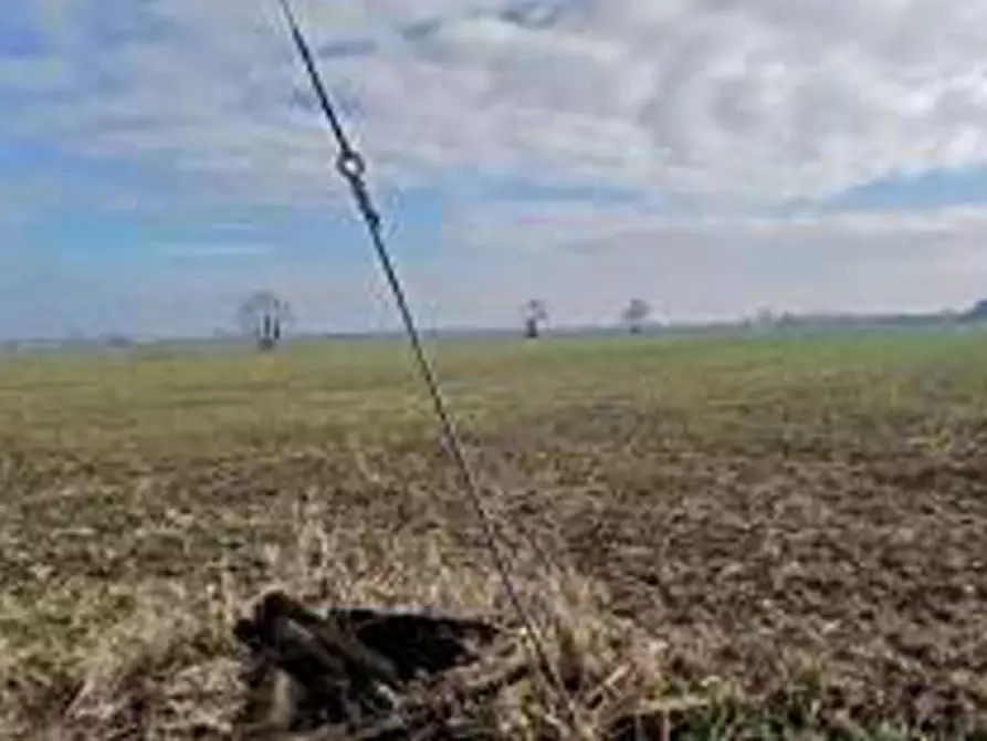 Immagine 4 di Terreno in vendita  in Località Ronchi a Povegliano Veronese