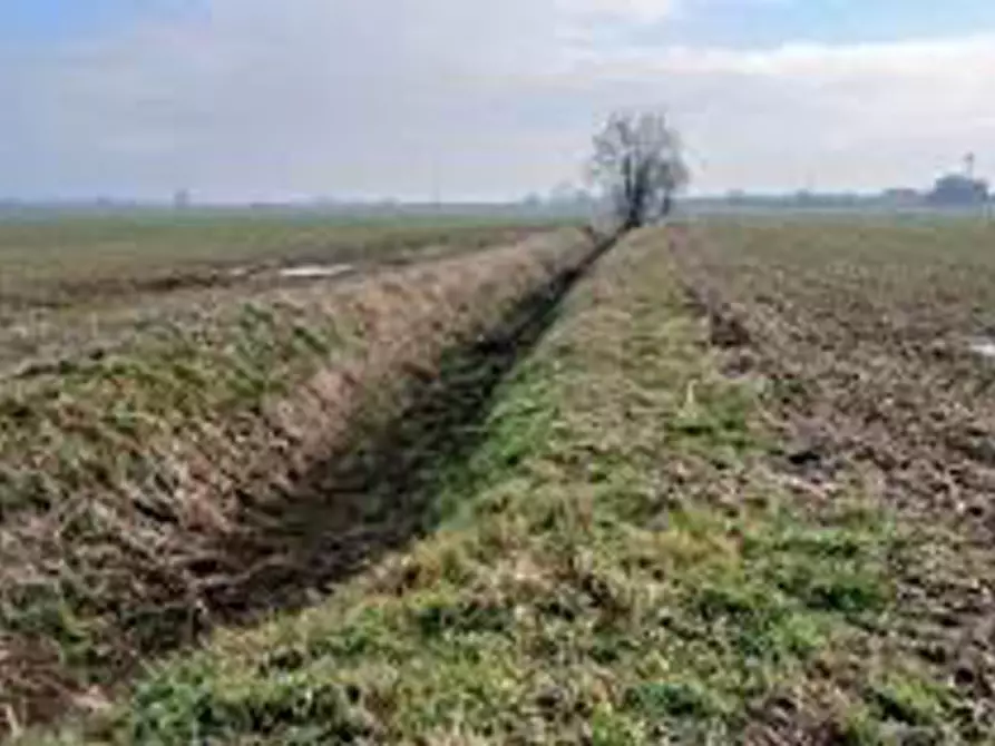 Immagine 5 di Terreno in vendita  in Località Ronchi a Povegliano Veronese