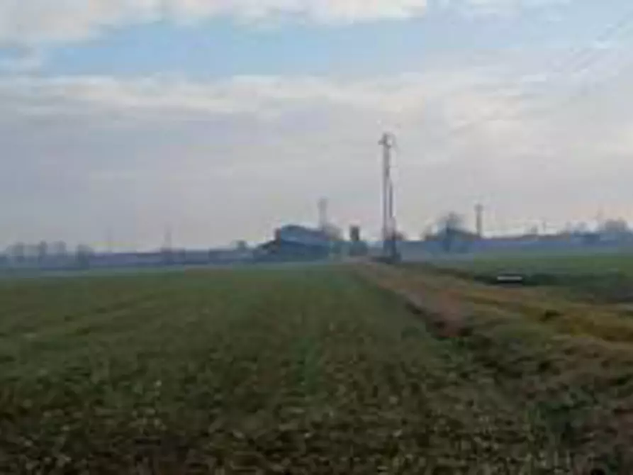 Immagine 7 di Terreno in vendita  in Località Ronchi a Povegliano Veronese