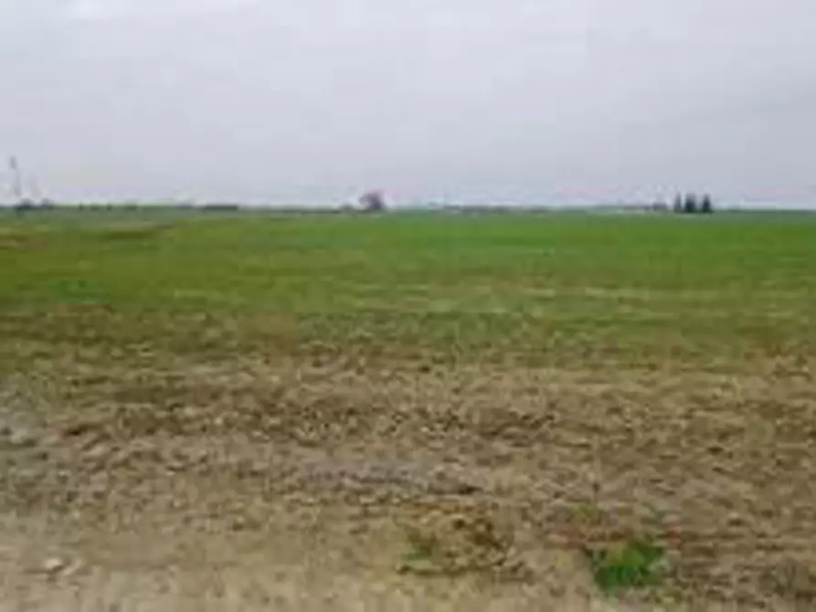 Immagine 8 di Terreno in vendita  in Località Ronchi a Povegliano Veronese