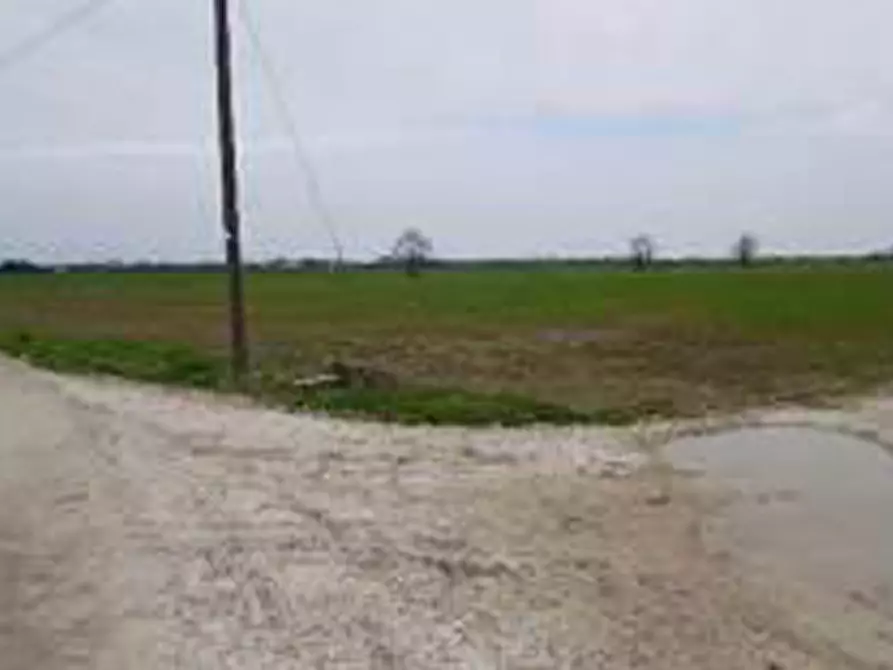 Immagine 9 di Terreno in vendita  in Località Ronchi a Povegliano Veronese