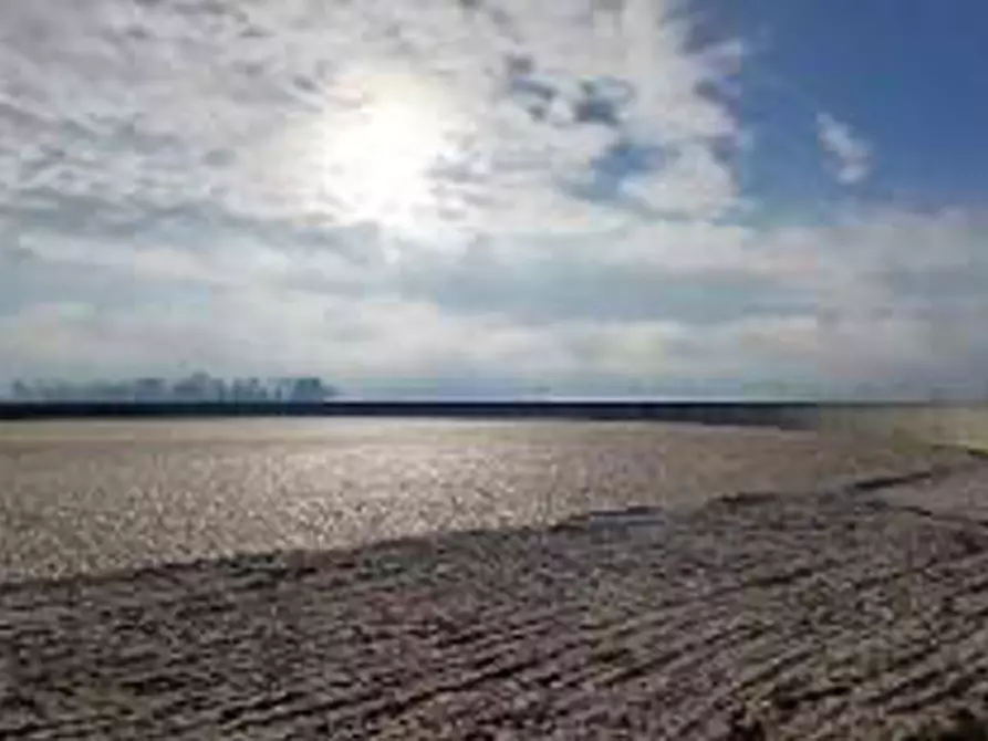 Immagine 5 di Terreno in vendita  in Località Ronchi a Povegliano Veronese