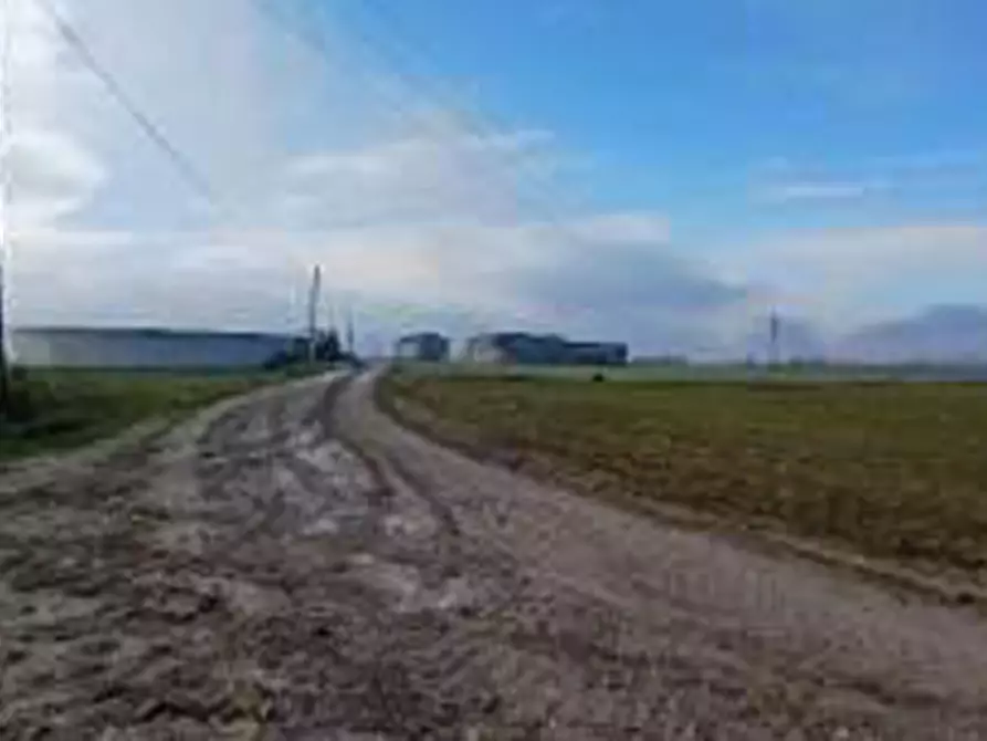 Immagine 6 di Terreno in vendita  in Località Ronchi a Povegliano Veronese