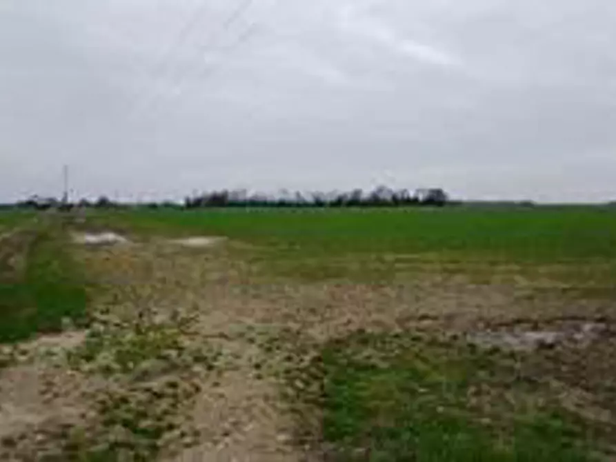 Immagine 8 di Terreno in vendita  in Località Ronchi a Povegliano Veronese