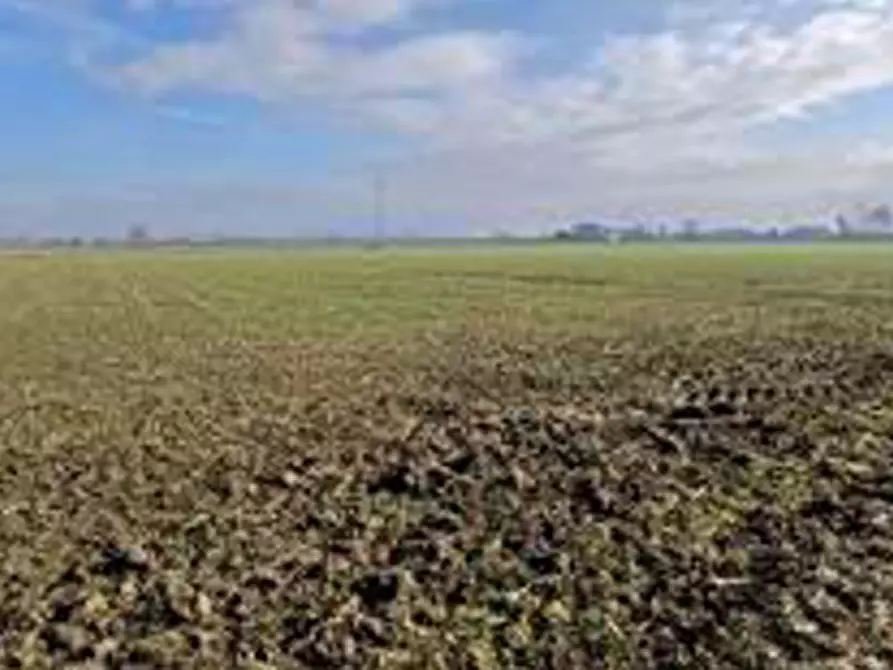 Immagine 9 di Terreno in vendita  in Località Ronchi a Povegliano Veronese