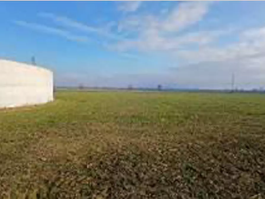 Immagine 10 di Terreno in vendita  in Località Ronchi a Povegliano Veronese