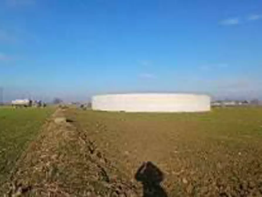 Immagine 11 di Terreno in vendita  in Località Ronchi a Povegliano Veronese