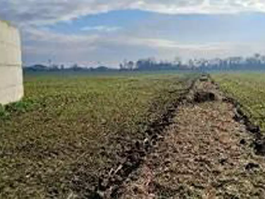 Immagine 12 di Terreno in vendita  in Località Ronchi a Povegliano Veronese