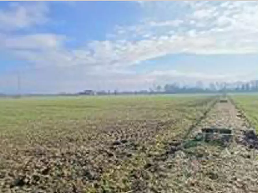Immagine 13 di Terreno in vendita  in Località Ronchi a Povegliano Veronese