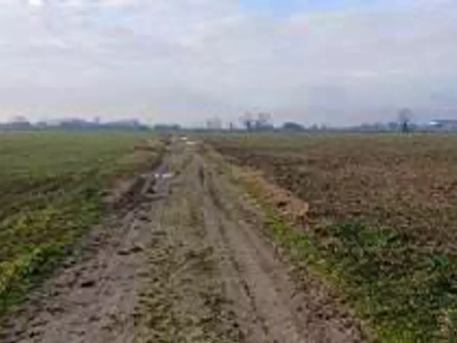 Immagine 3 di Terreno in vendita  in Località Ronchi a Povegliano Veronese