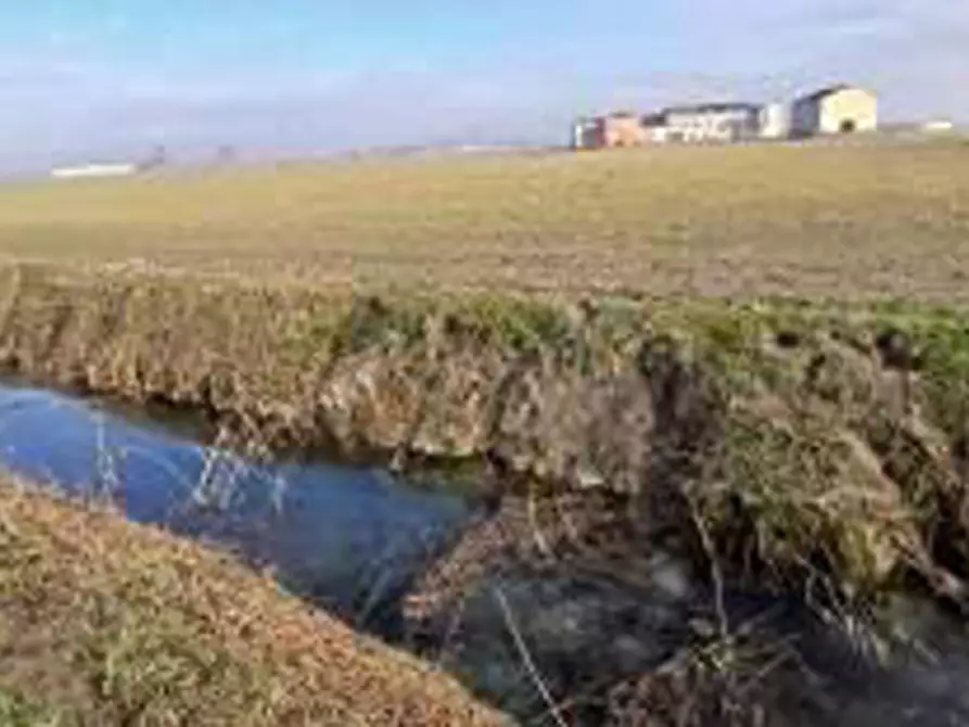 Immagine 4 di Terreno in vendita  in Località Ronchi a Povegliano Veronese