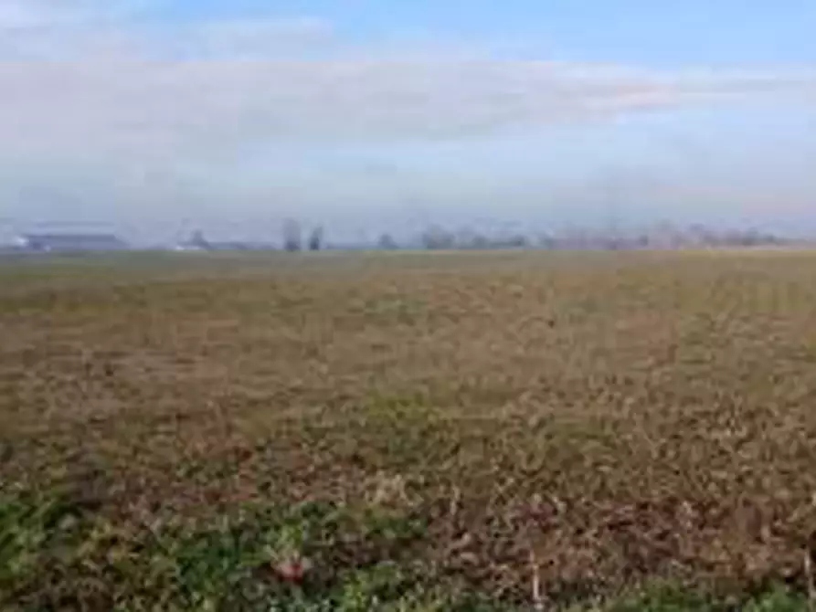 Immagine 6 di Terreno in vendita  in Località Ronchi a Povegliano Veronese