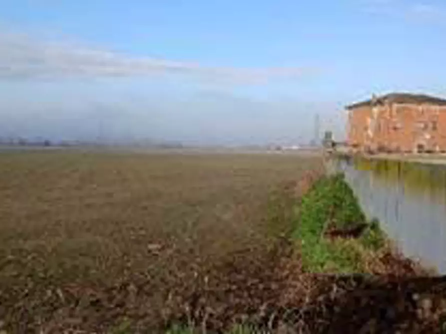 Immagine 7 di Terreno in vendita  in Località Ronchi a Povegliano Veronese