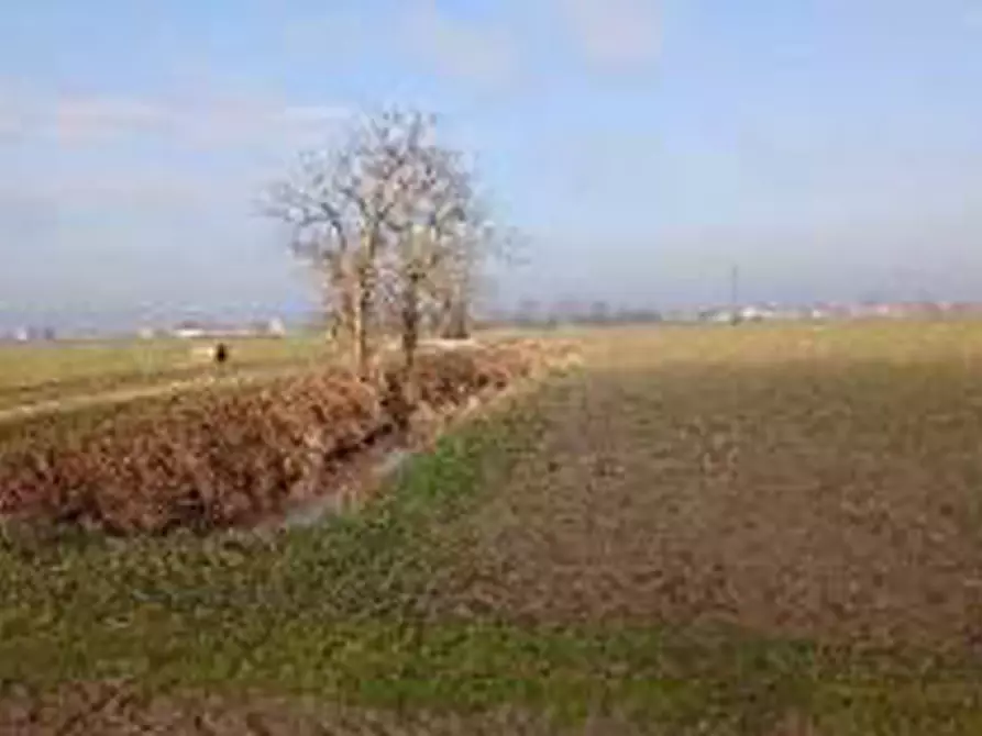 Immagine 8 di Terreno in vendita  in Località Ronchi a Povegliano Veronese