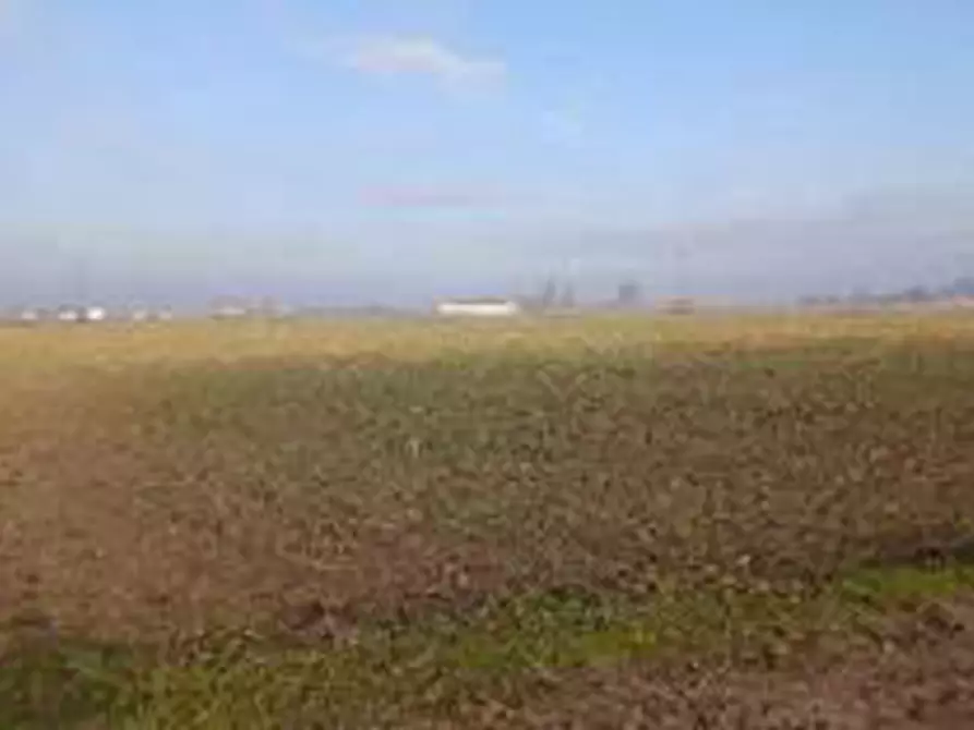 Immagine 9 di Terreno in vendita  in Località Ronchi a Povegliano Veronese