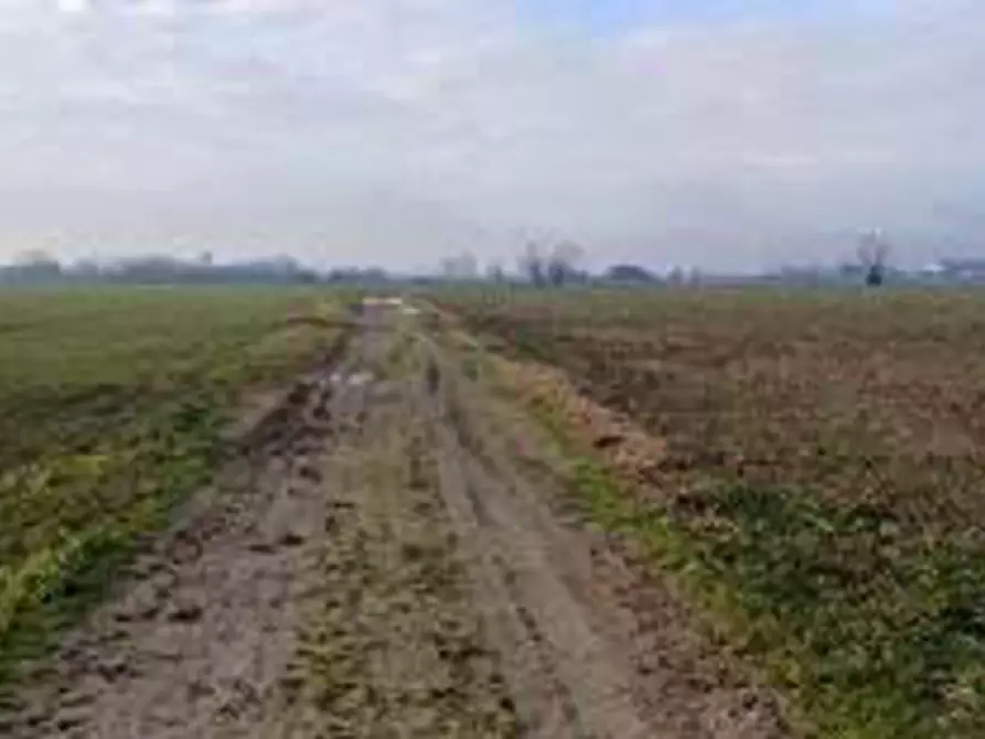 Immagine 2 di Terreno in vendita  in Località Ronchi a Povegliano Veronese