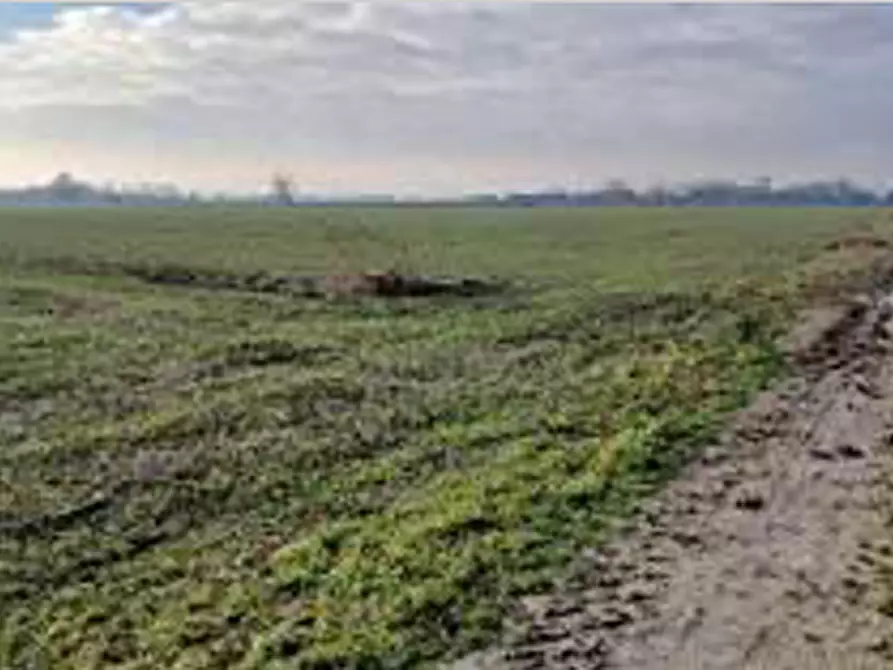 Immagine 3 di Terreno in vendita  in Località Ronchi a Povegliano Veronese