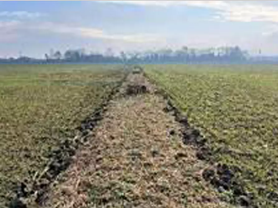 Immagine 4 di Terreno in vendita  in Località Ronchi a Povegliano Veronese