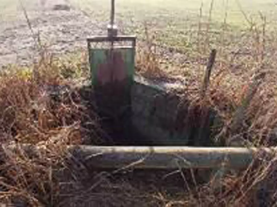 Immagine 6 di Terreno in vendita  in Località Ronchi a Povegliano Veronese