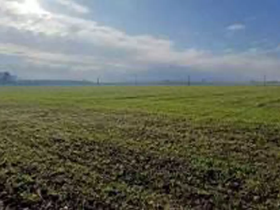 Immagine 7 di Terreno in vendita  in Località Ronchi a Povegliano Veronese