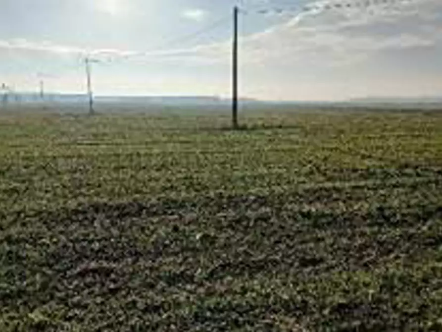 Immagine 9 di Terreno in vendita  in Località Ronchi a Povegliano Veronese