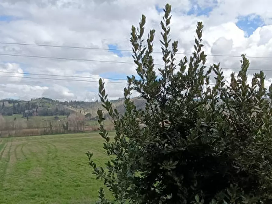 Immagine 36 di Rustico / casale in vendita  a San Miniato