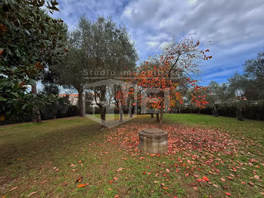 Immagine 9 di Villa in vendita  in Via Albert Einstein a Crespina Lorenzana