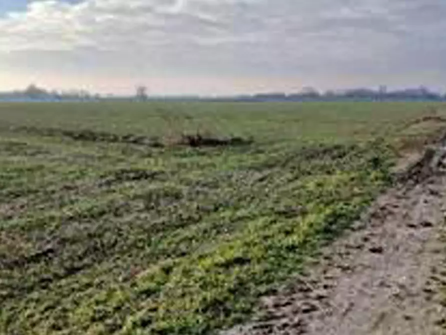 Immagine 2 di Terreno in vendita  in Località Ronchi a Povegliano Veronese