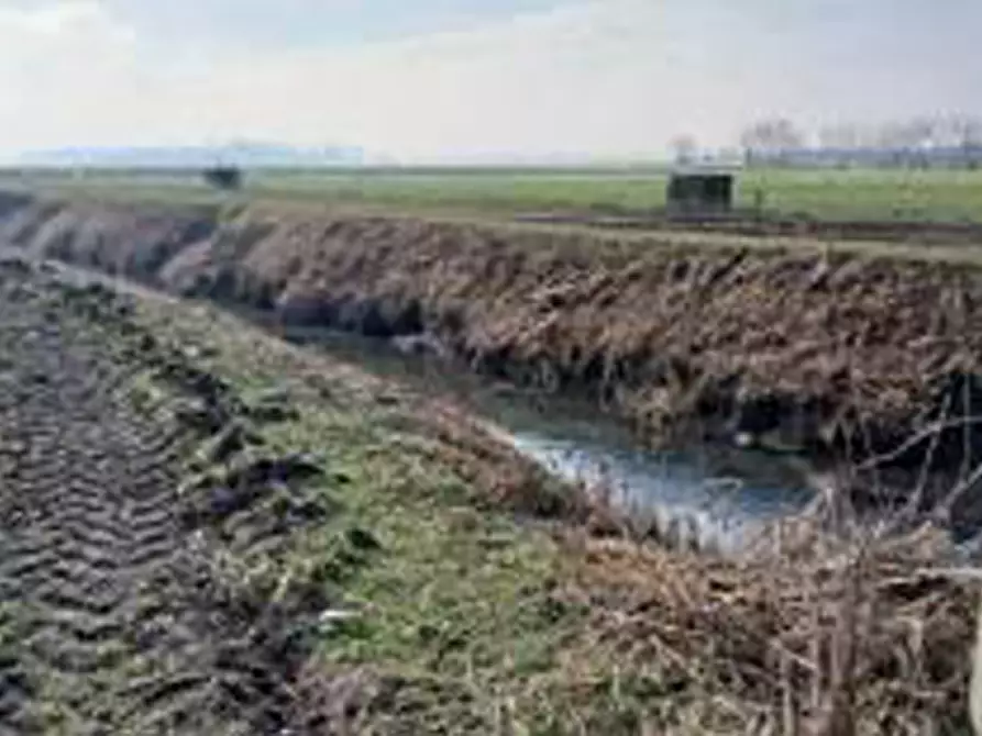 Immagine 3 di Terreno in vendita  in Località Ronchi a Povegliano Veronese