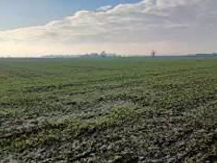 Immagine 5 di Terreno in vendita  in Località Ronchi a Povegliano Veronese