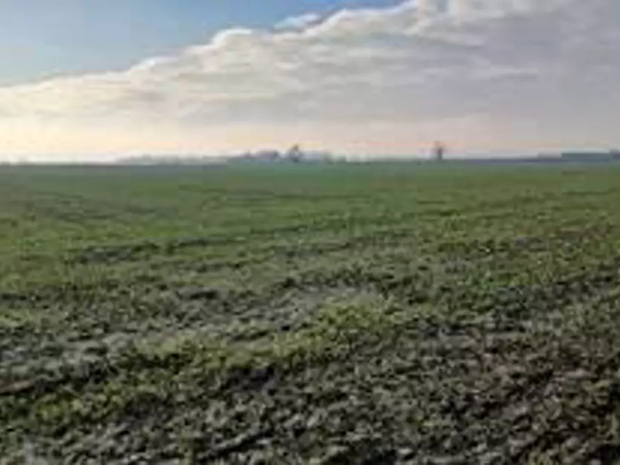 Immagine 6 di Terreno in vendita  in Località Ronchi a Povegliano Veronese
