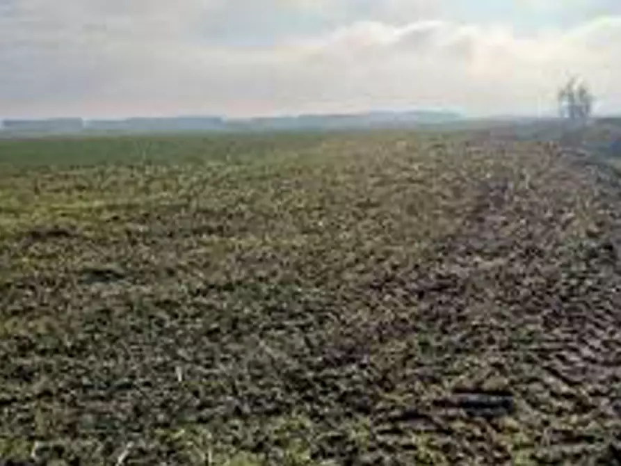 Immagine 7 di Terreno in vendita  in Località Ronchi a Povegliano Veronese