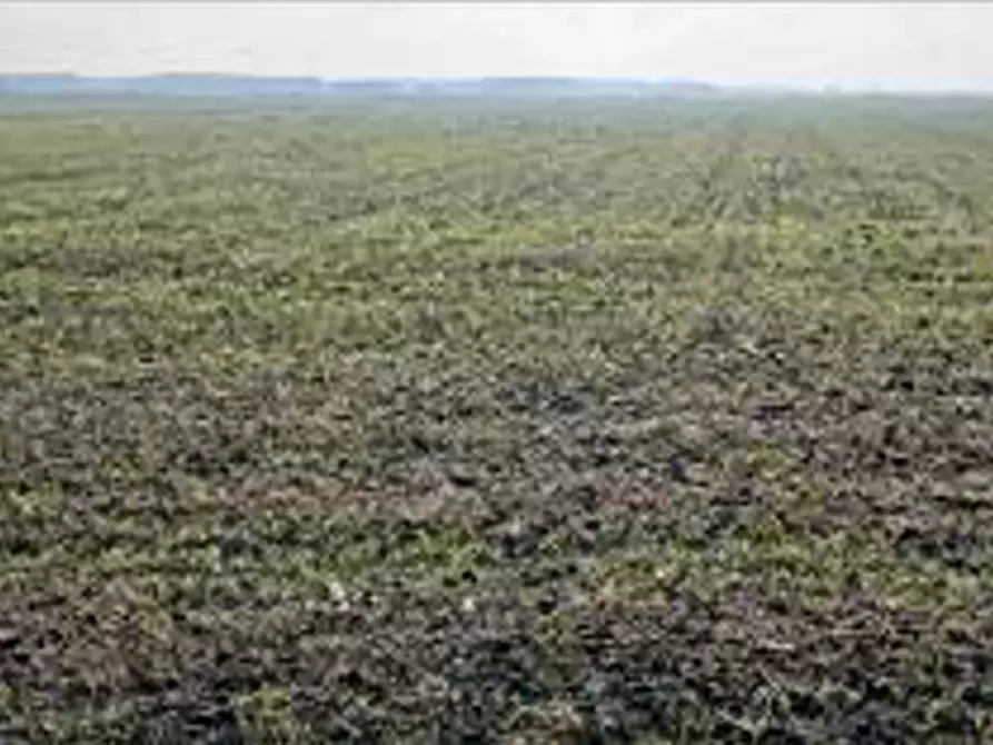 Immagine 8 di Terreno in vendita  in Località Ronchi a Povegliano Veronese