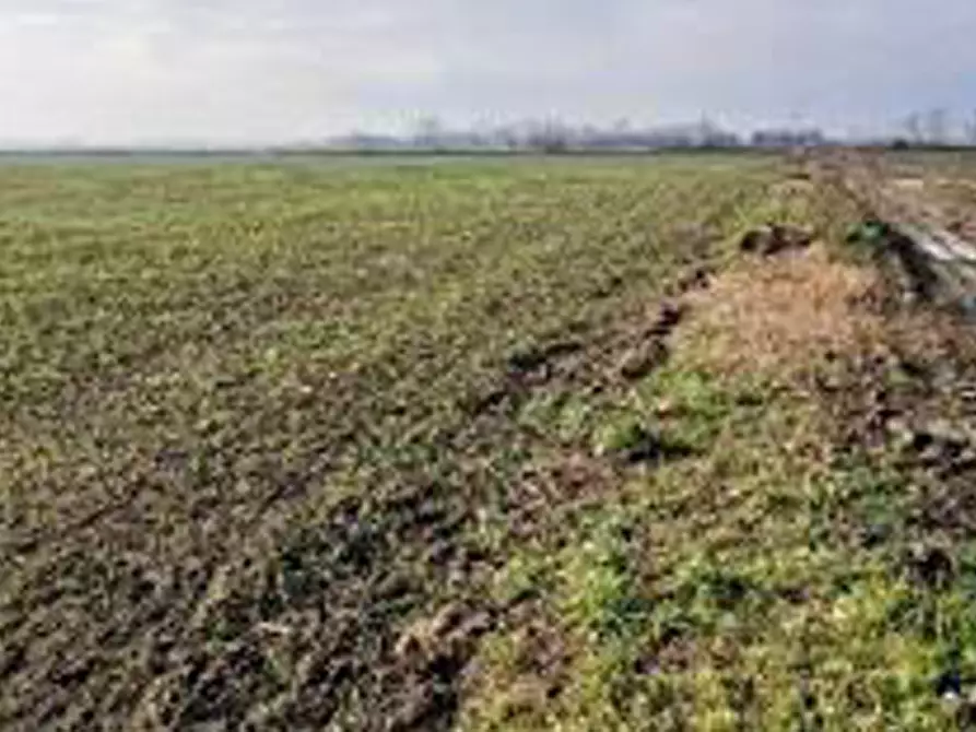 Immagine 9 di Terreno in vendita  in Località Ronchi a Povegliano Veronese