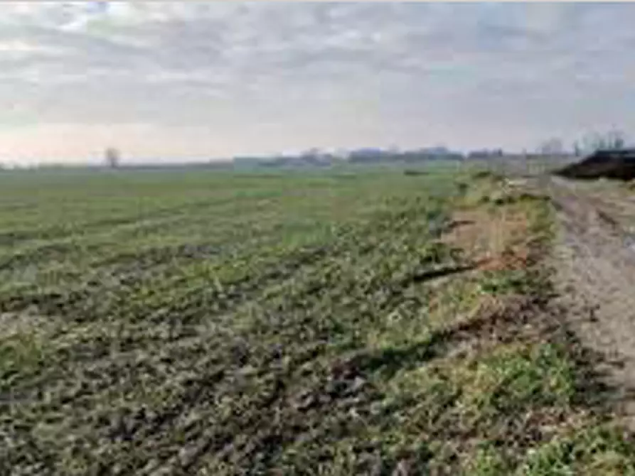Immagine 10 di Terreno in vendita  in Località Ronchi a Povegliano Veronese
