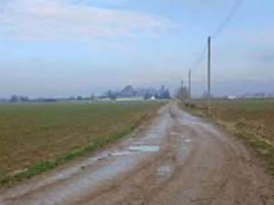 Immagine 2 di Terreno in vendita  in Località Ronchi a Povegliano Veronese