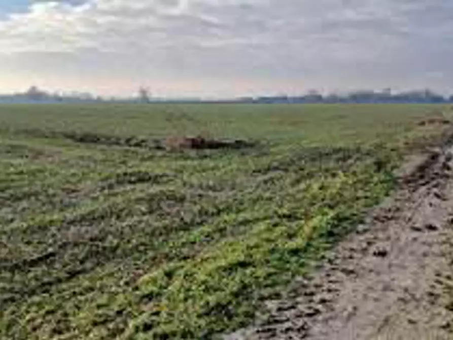 Immagine 3 di Terreno in vendita  in Località Ronchi a Povegliano Veronese